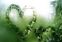 38岁拉莫斯在社交媒体晒照发文:秋季训练!.