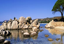 3377体育:贡献2球1助,广州豹队长若昂-卡洛斯当选中甲首轮最佳球员.